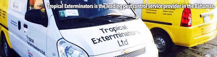 Tropical Exterminators (Rentokil Initial)